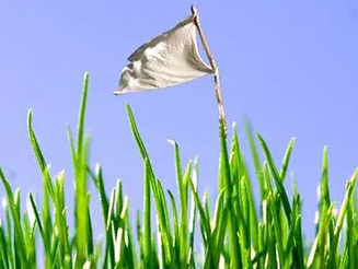 Gallery image 4 — lawn care Villa Park