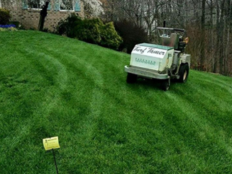 lawn care Villa Park