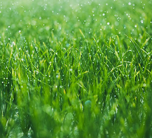 Gallery image 4 — property maintenance in Palos Heights