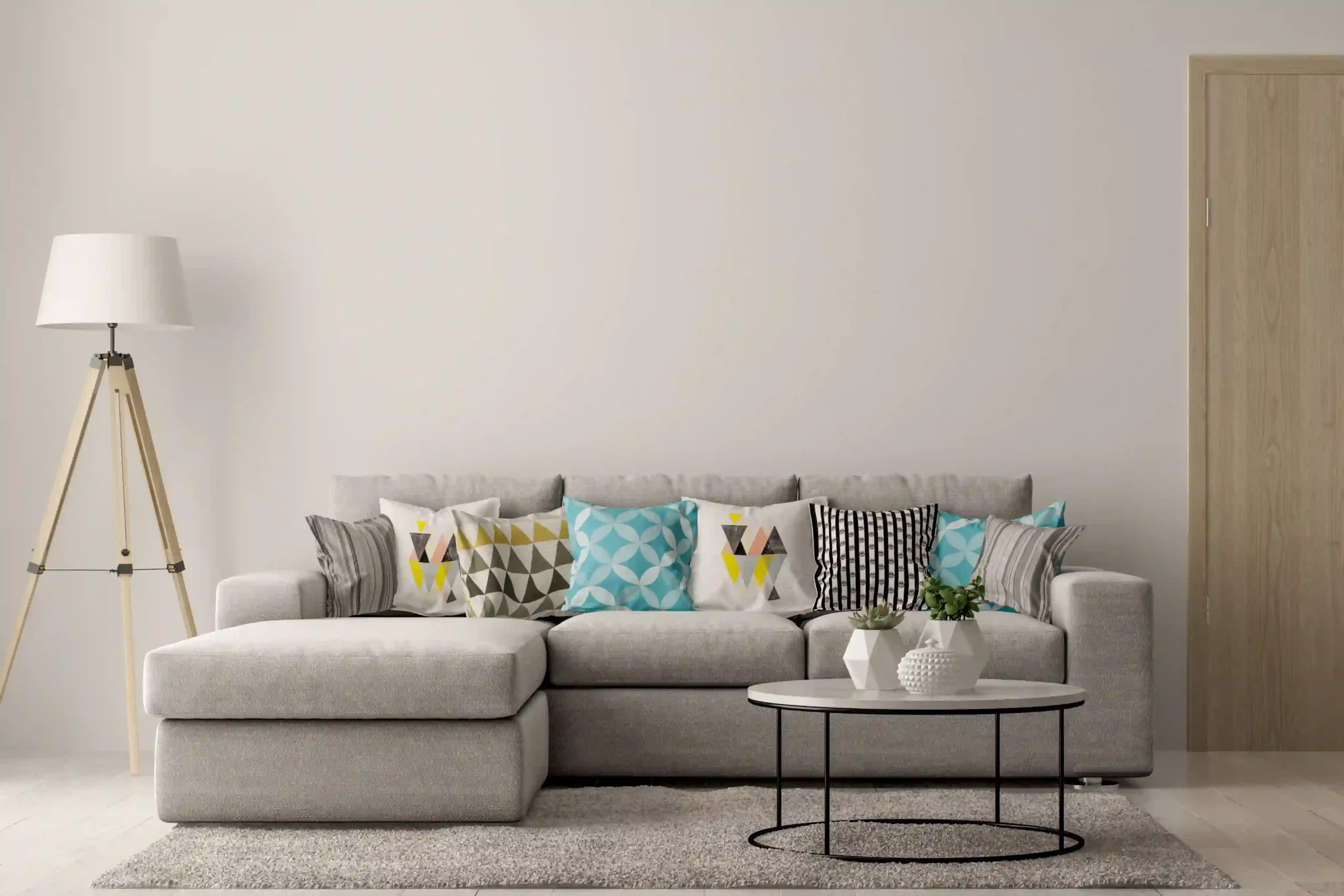 professional couch cleaning near me