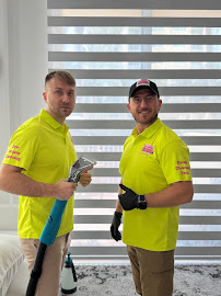 About professional couch cleaning near me