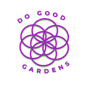 front lawn conversion near me