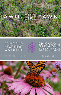 Gallery image 2 — front lawn conversion near me