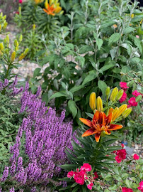 Gallery image 3 — filtered watering service for gardens near me