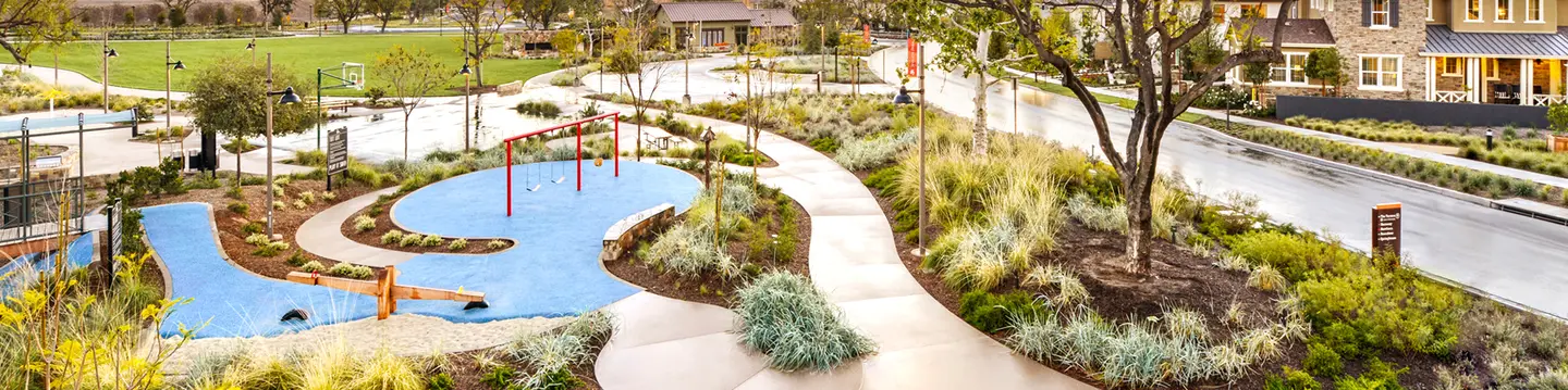 tree care services San Jose