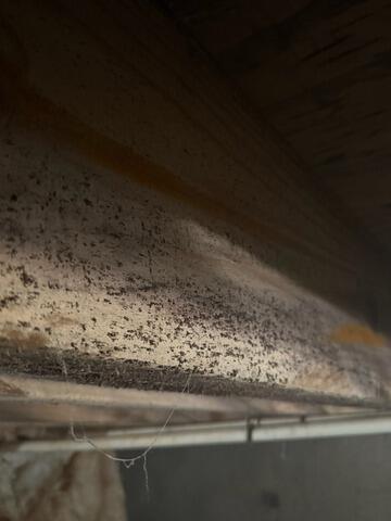 interior drainage system installation in Winterville