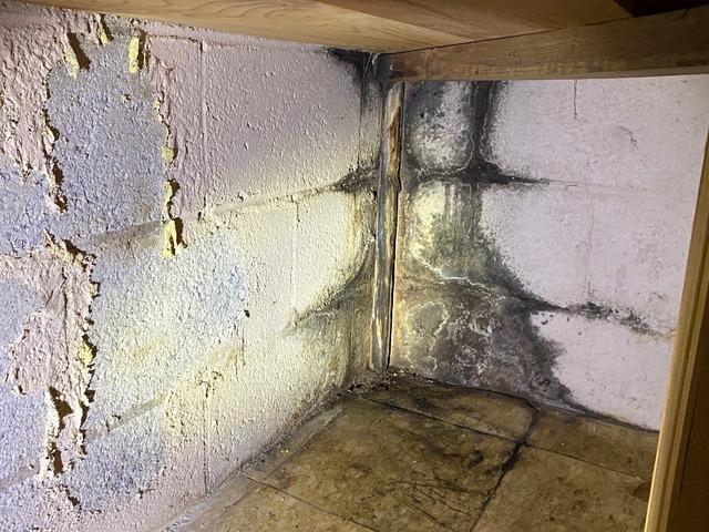 Gallery image 8 — interior drainage system installation in Winterville