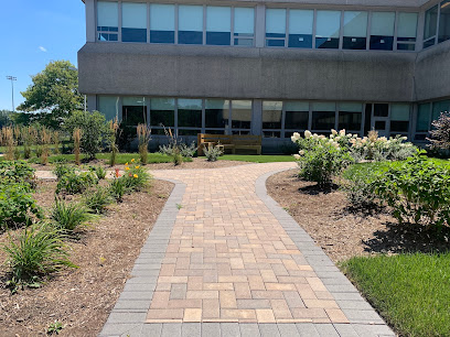 Gallery image 7 — yard cleanup services near me