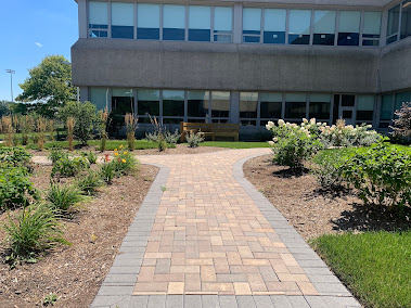 Gallery image 9 — yard cleanup services near me