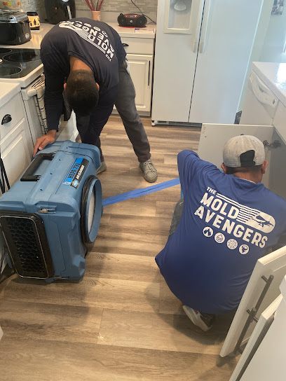 About storm damage cleanup Florida