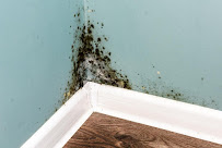 Gallery image 8 — best mold removal Miami