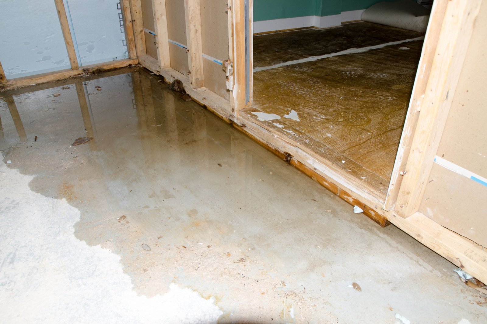 Gallery image 5 — wood mold removal in Miami
