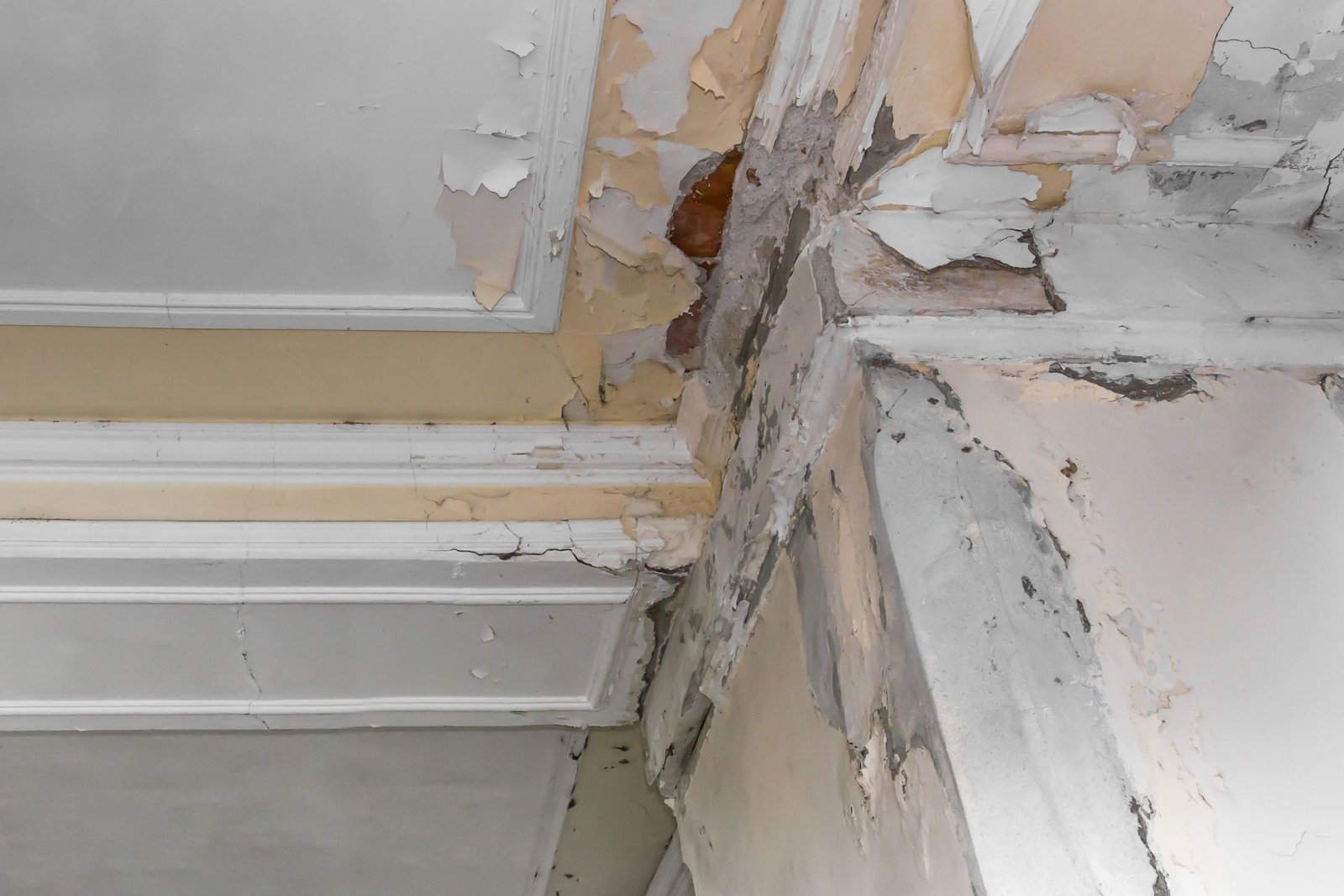 Gallery image 6 — wood mold removal in Miami