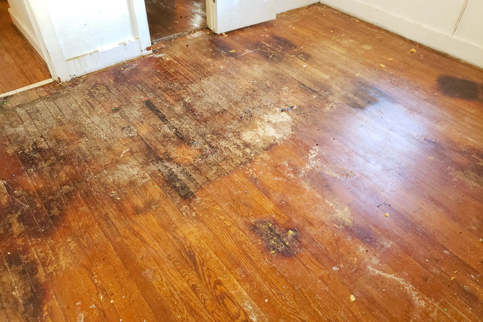 Gallery image 7 — wood mold removal in Miami