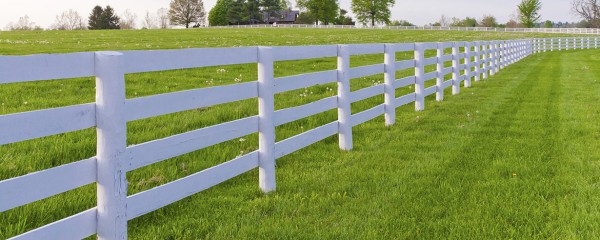 Gallery image 3 — best fence contractor in White Plains