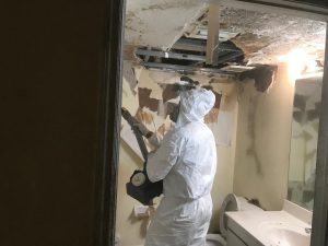 Gallery image 3 — drywall repair after water damage Florida