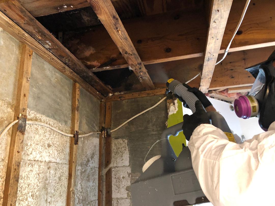 Gallery image 6 — drywall repair after water damage Florida