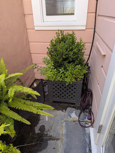 Gallery image 2 — mold detection Miami