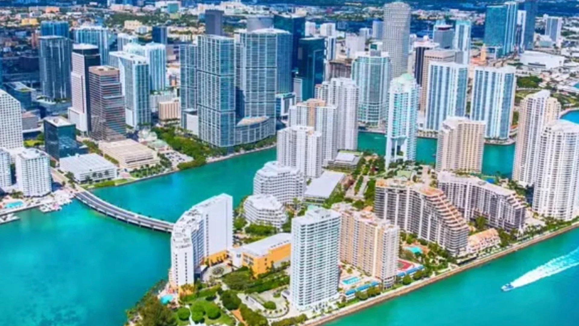 mold detection Miami