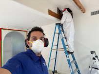 Gallery image 1 — IICRC certified mold removal Doral