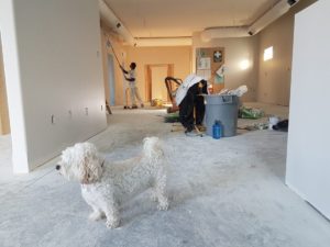 Gallery image 6 — move in move out cleaning New York