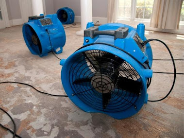 Gallery image 2 — emergency flood cleanup Boca Raton