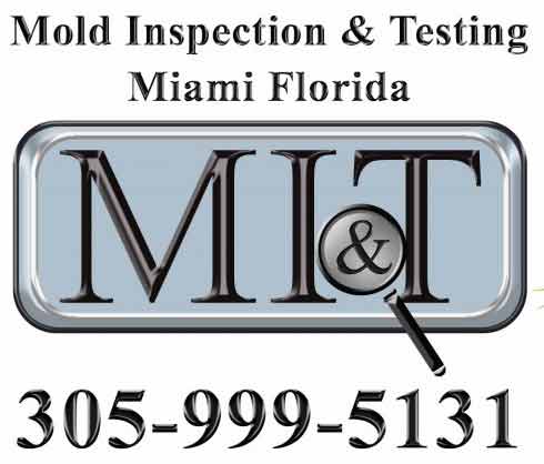 air quality test for mold Dade County