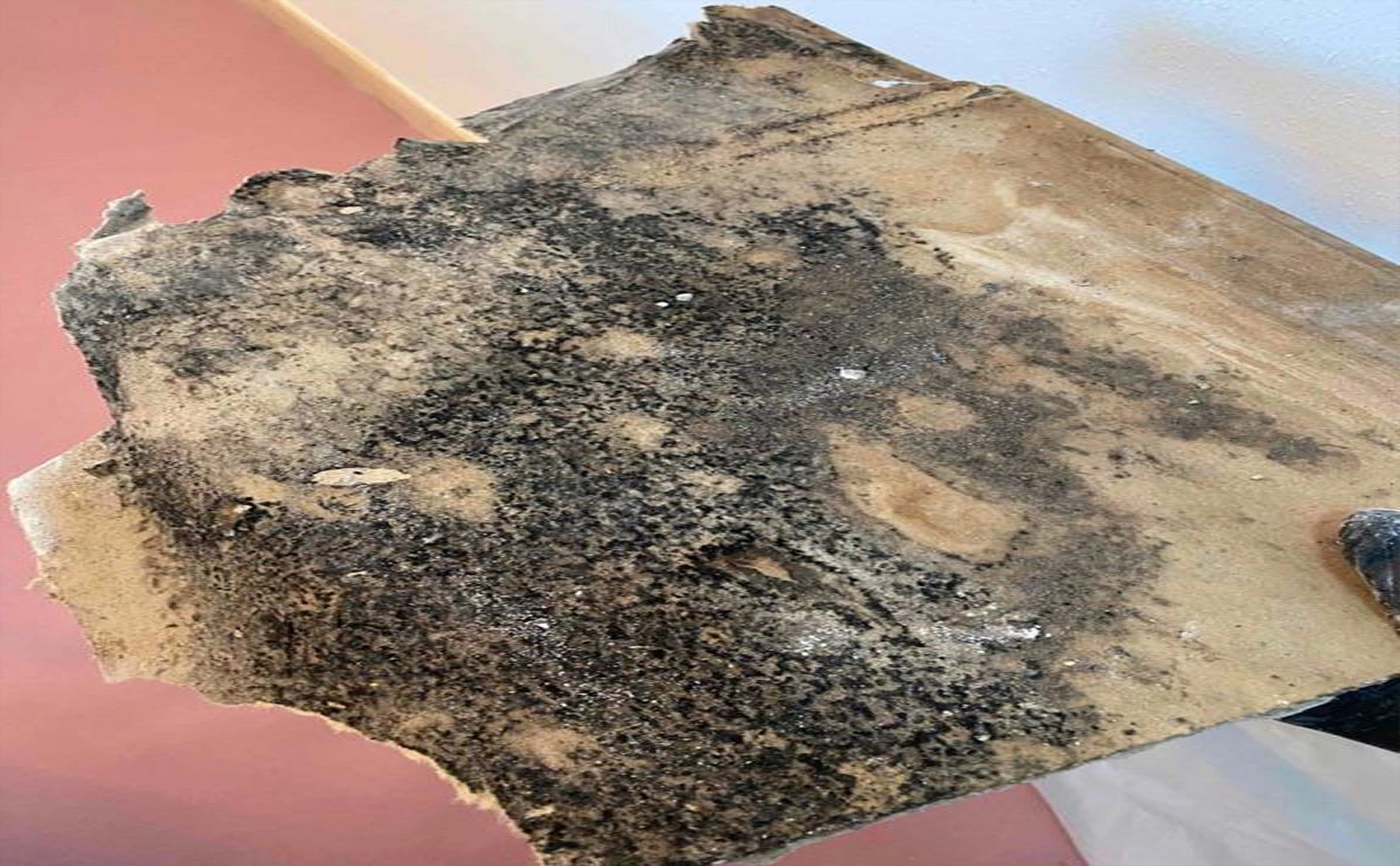 Gallery image 8 — licensed asbestos abatement Miami