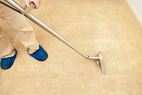 Gallery image 8 — mold remediation Miami Beach