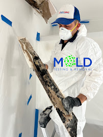 About affordable mold testing Miami
