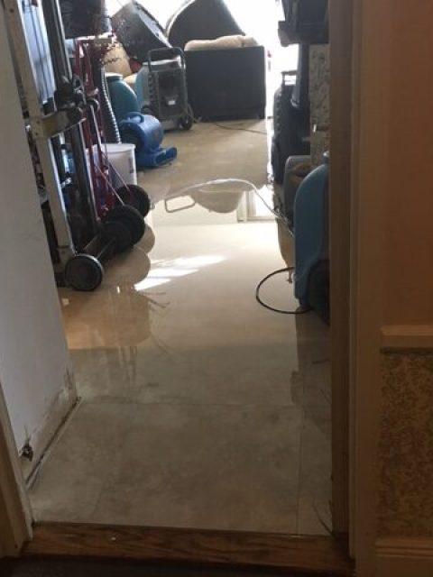 24/7 water damage restoration Top Remediation Specialist