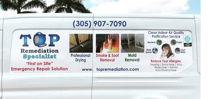 professional water remediation Top Remediation Specialist