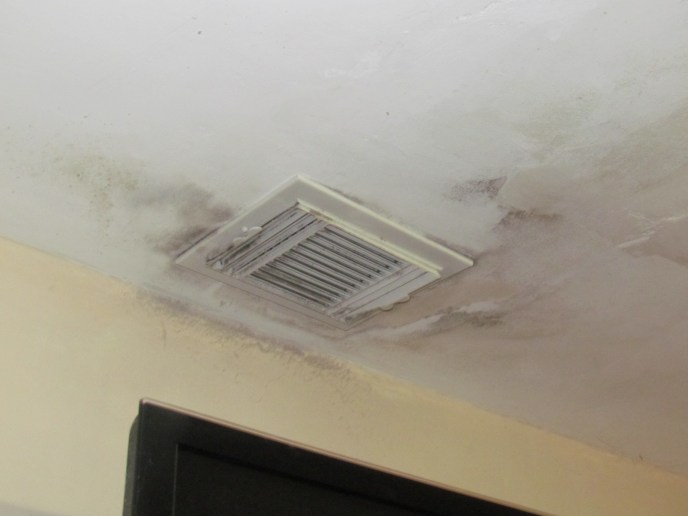 Gallery image 10 — professional water remediation Top Remediation Specialist