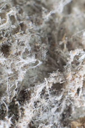 Gallery image 4 — asbestos testing South Florida
