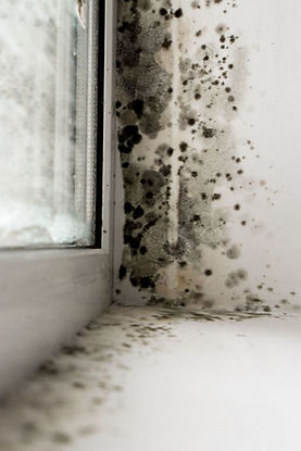 Gallery image 2 — asbestos testing South Florida