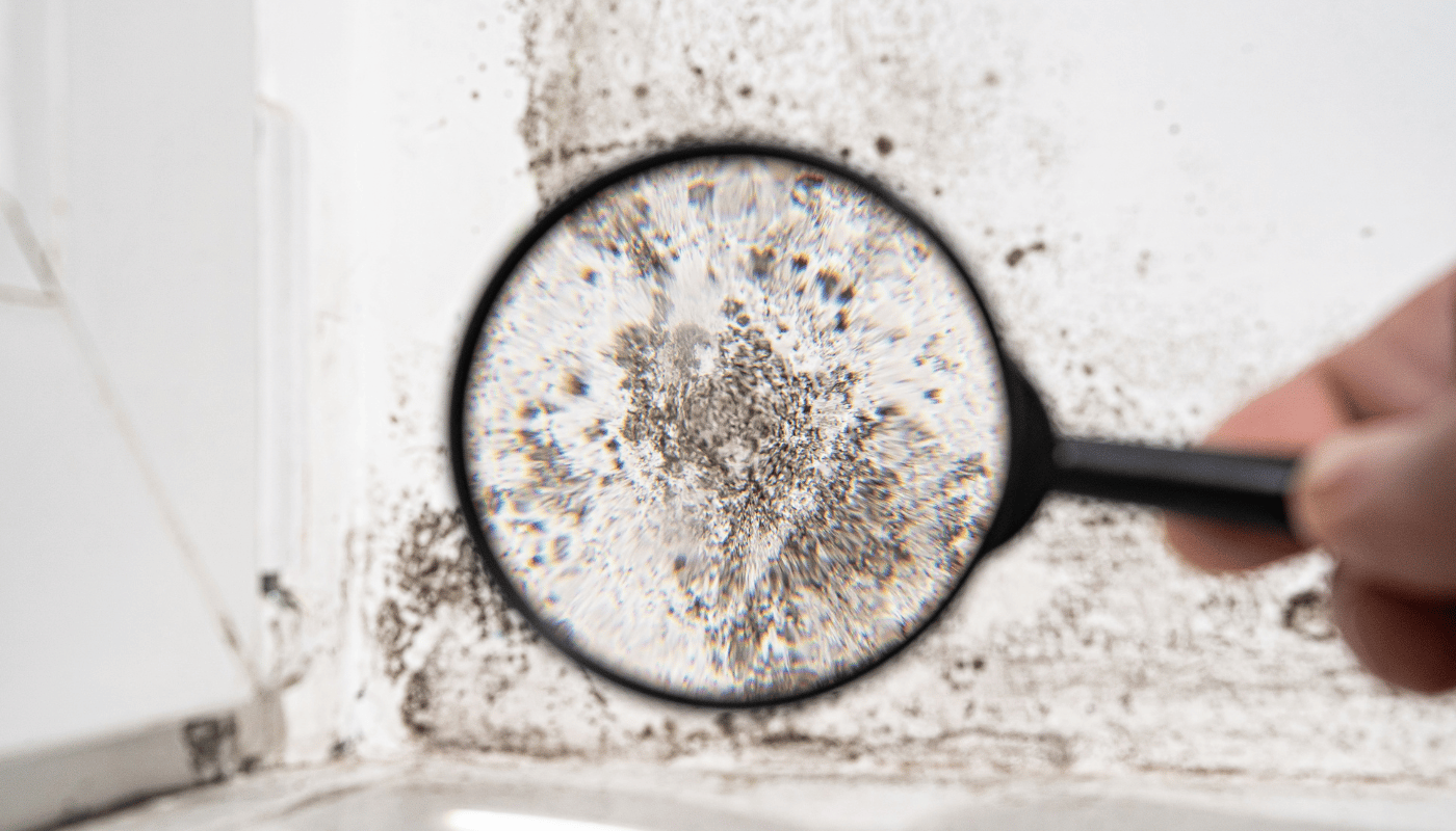 asbestos testing South Florida