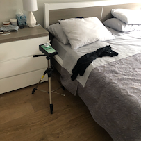 licensed mold inspector Miami