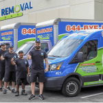 mold cleanup Florida