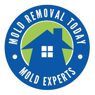 black mold removal Miami