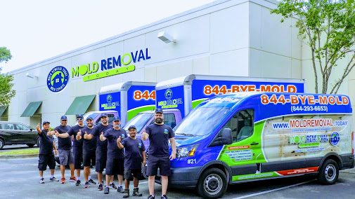 Gallery image 2 — black mold removal Miami