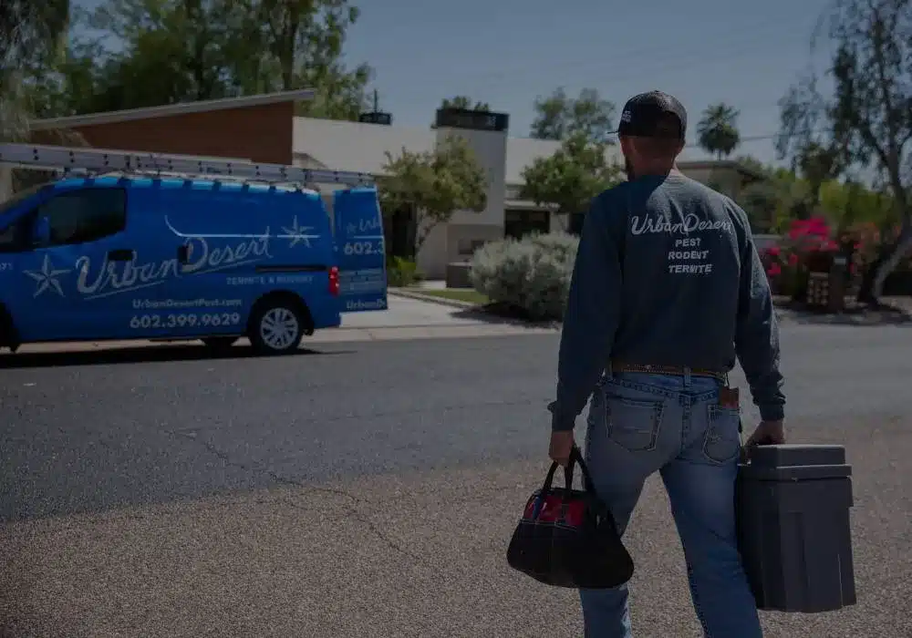 Gallery image 11 — termite control Phoenix