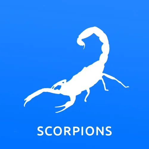 Gallery image 5 — termite control Phoenix