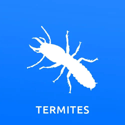 Gallery image 12 — termite control Phoenix