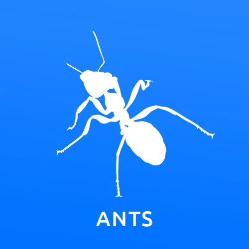 Gallery image 4 — termite control Phoenix