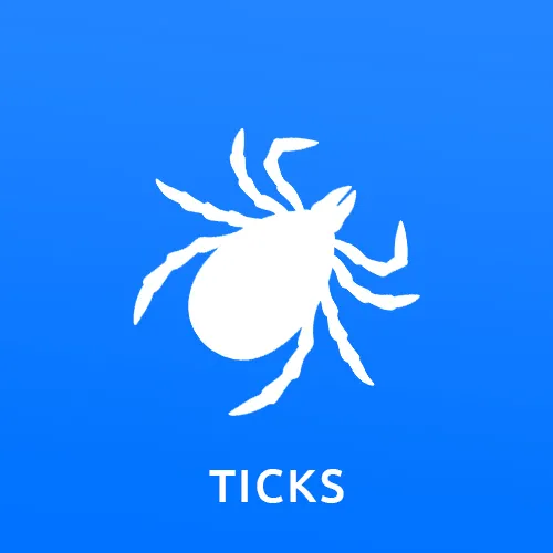 Gallery image 6 — termite control Phoenix