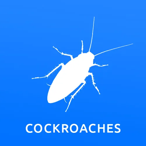 Gallery image 10 — termite control Phoenix