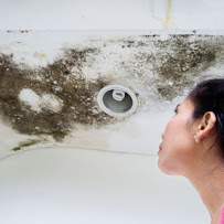 Gallery image 4 — mold remediation services Miami