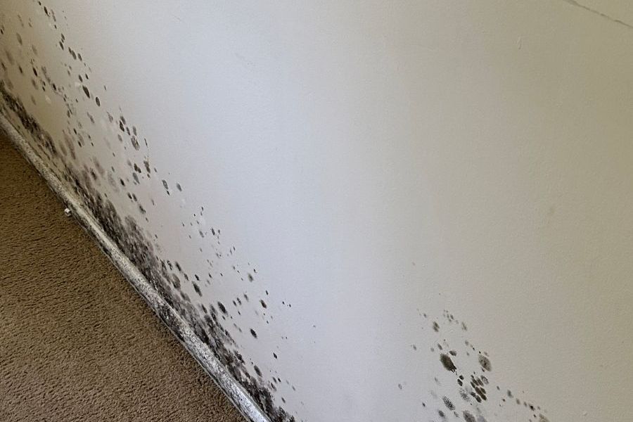 Gallery image 5 — flood damage cleanup near me