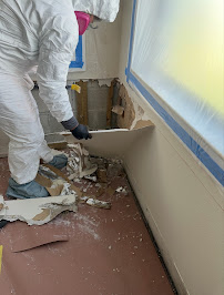 About flood damage cleanup near me