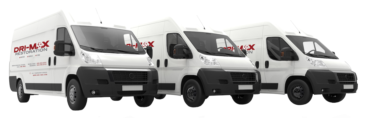 mold remediation Miami Dade